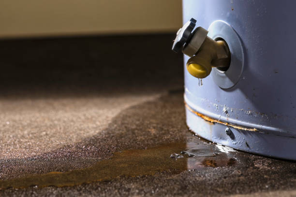 Best Residential water damage restoration  in Riverton, IL