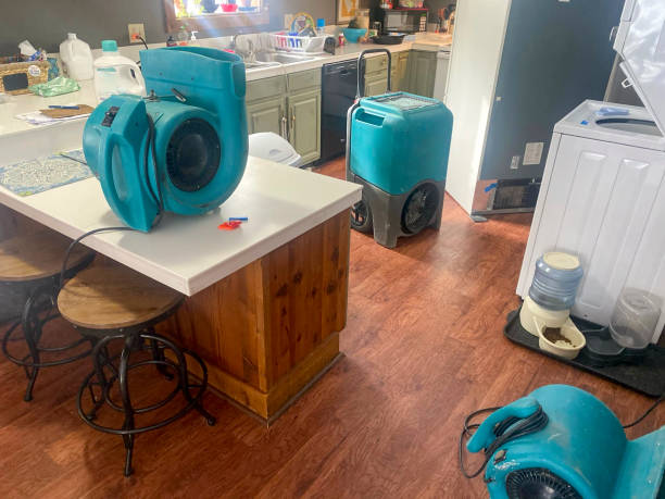 Best Water damage mitigation services  in Riverton, IL