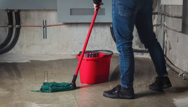 Best Flood restoration services  in Riverton, IL