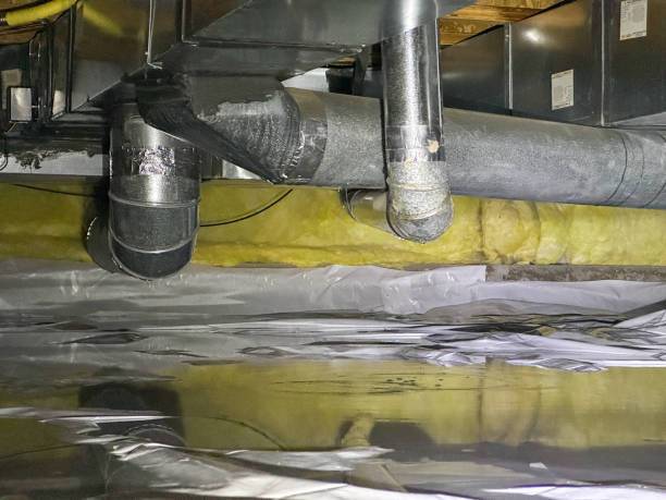 Best Flood damage cleanup  in Riverton, IL