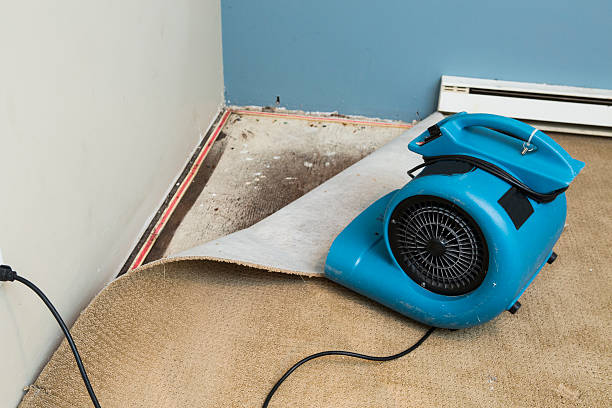 Best 24/7 water damage repair  in Riverton, IL